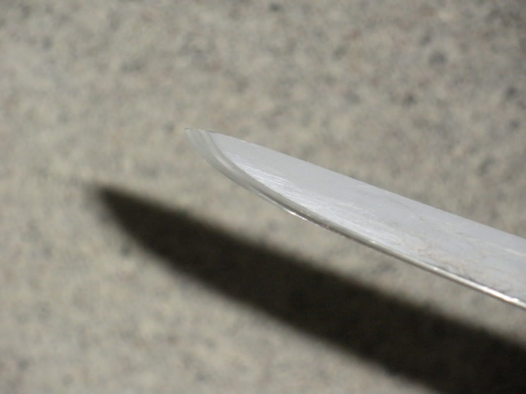 DSCN2994.jpg