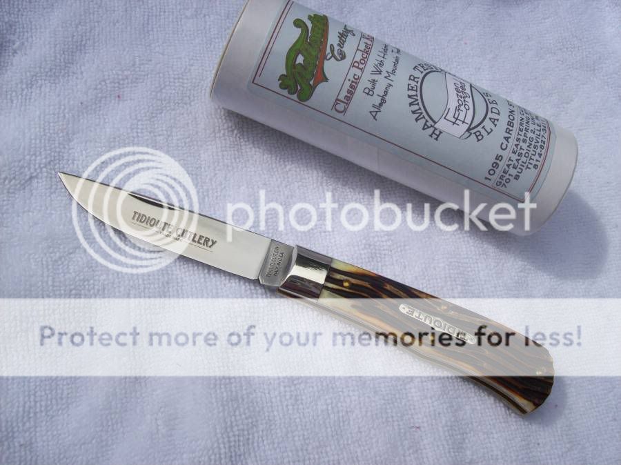 gec73stag.jpg