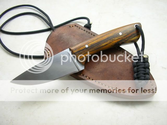 IMGP1406.jpg