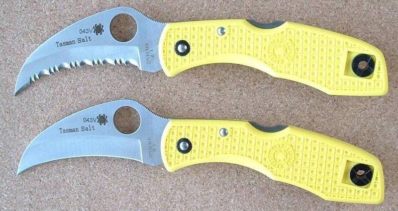 yellow_tasmans.jpg