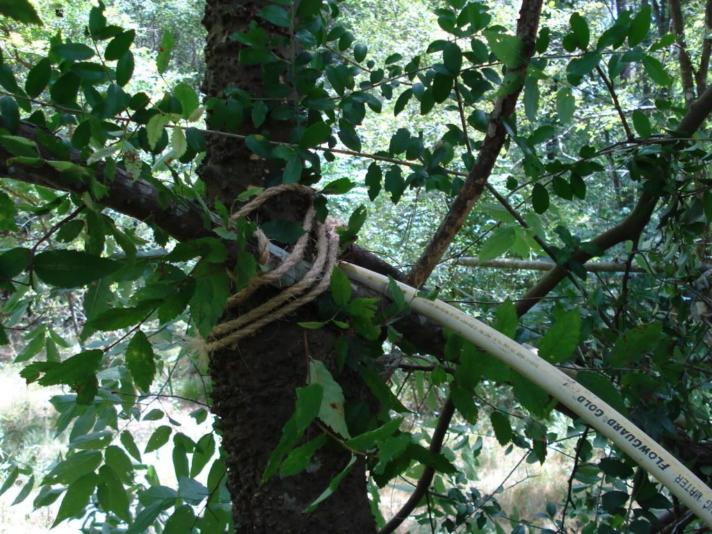 DSC04675.jpg