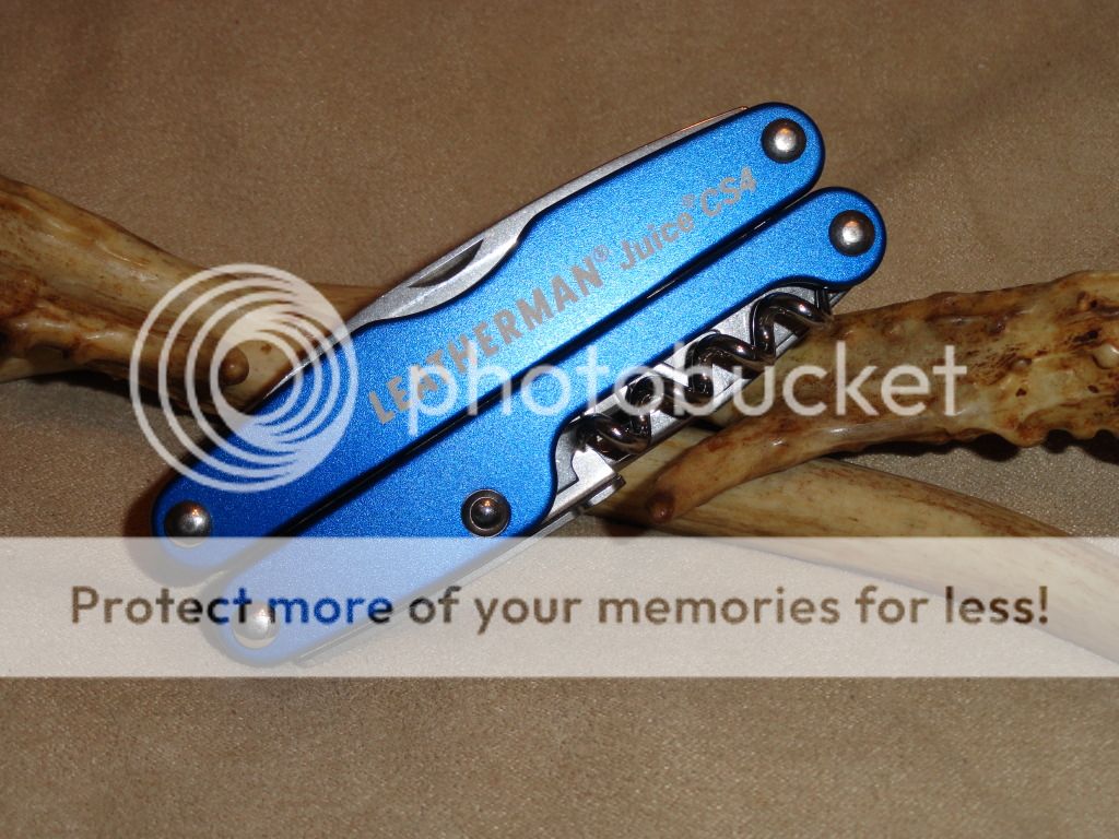 NativeCFJuiceIzulaBlur010.jpg