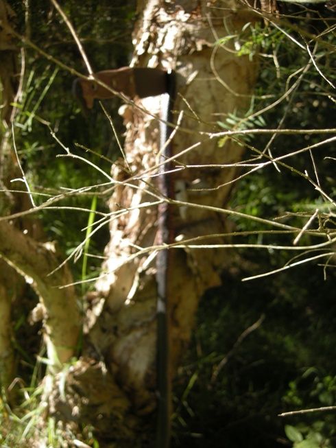DSCN0884.jpg