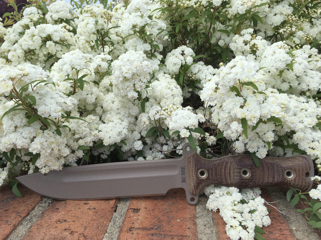 TGLB_blossom.jpg
