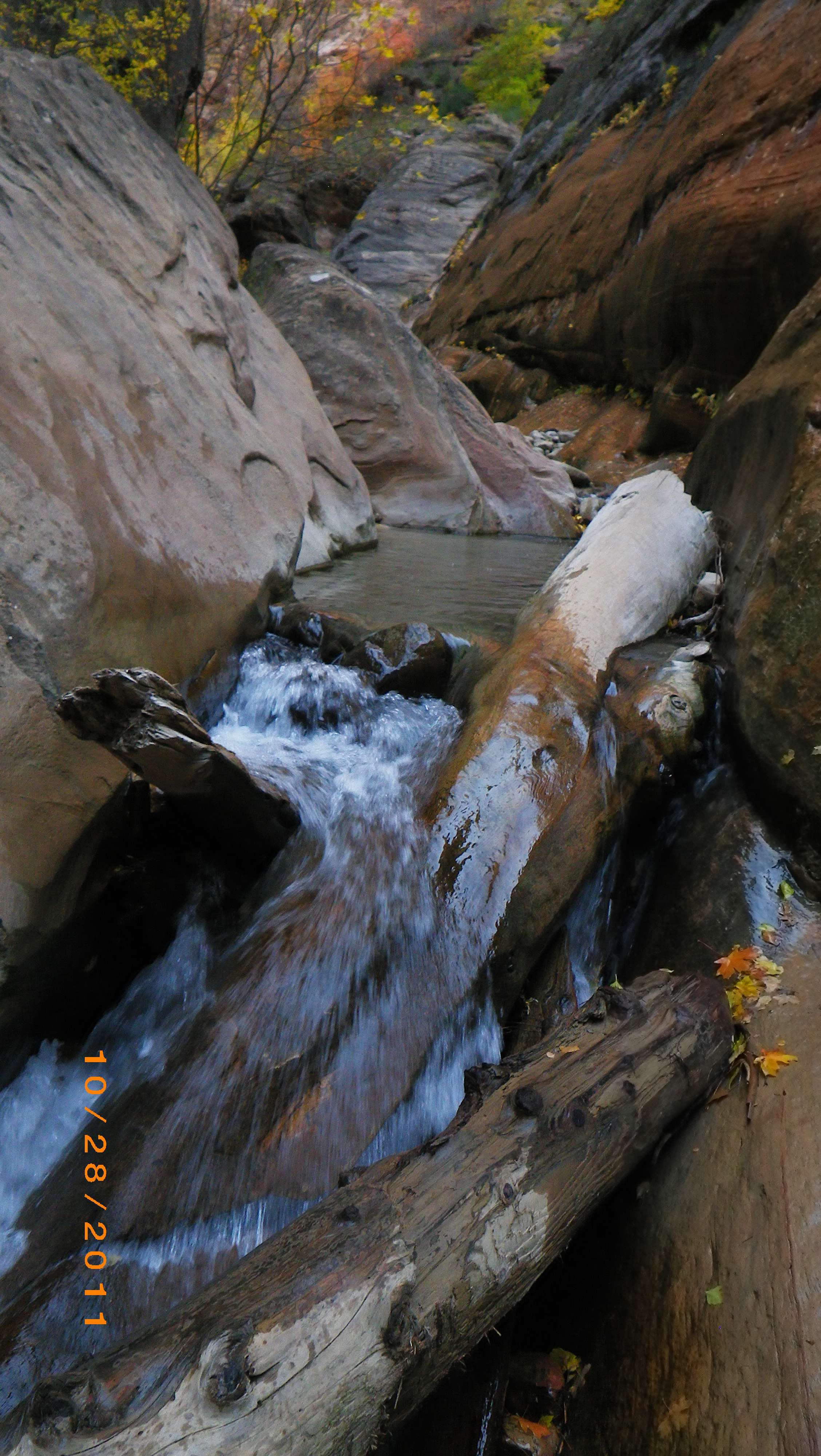 imgp4434s.jpg