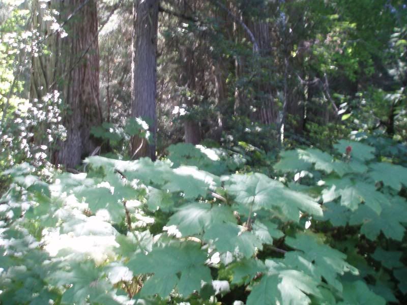 Summer2011126.jpg
