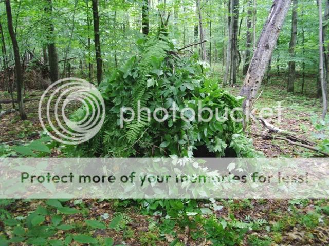 PICT0370.jpg