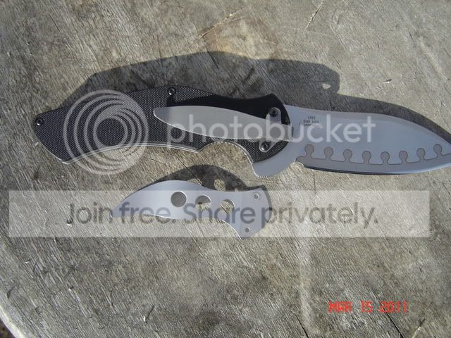 DSC03549.jpg