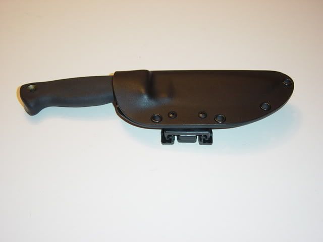 DSC01767.jpg