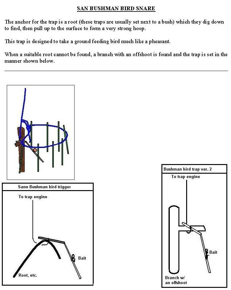 SannBushmanBirdSnare.jpg