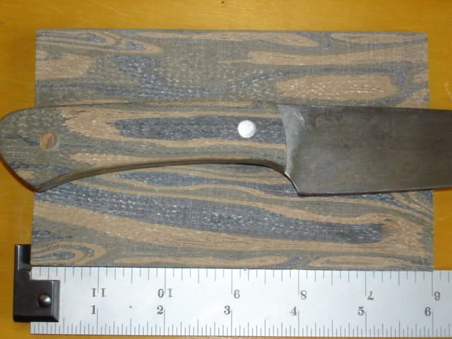 DSC02313.jpg