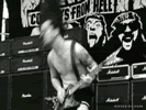 dimebag.gif