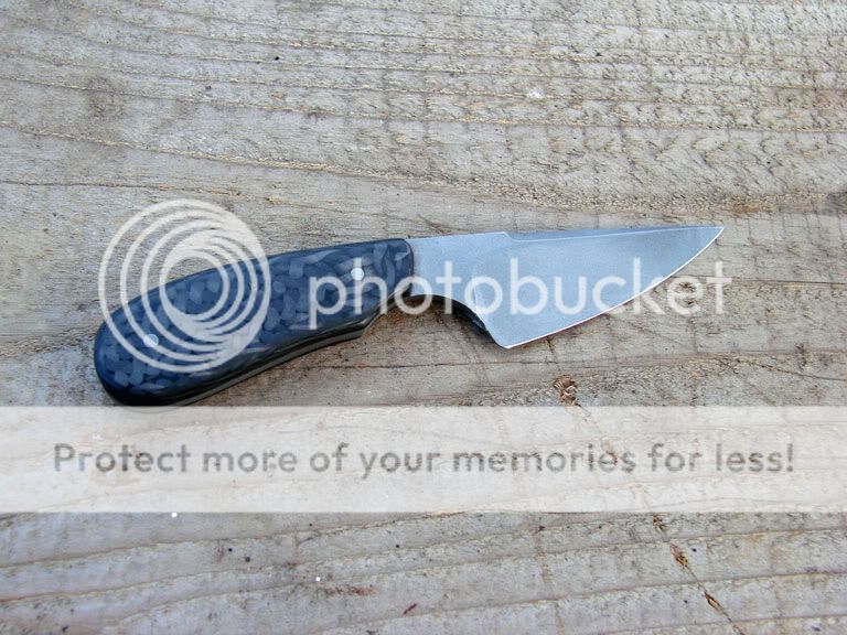 DSC06164.jpg
