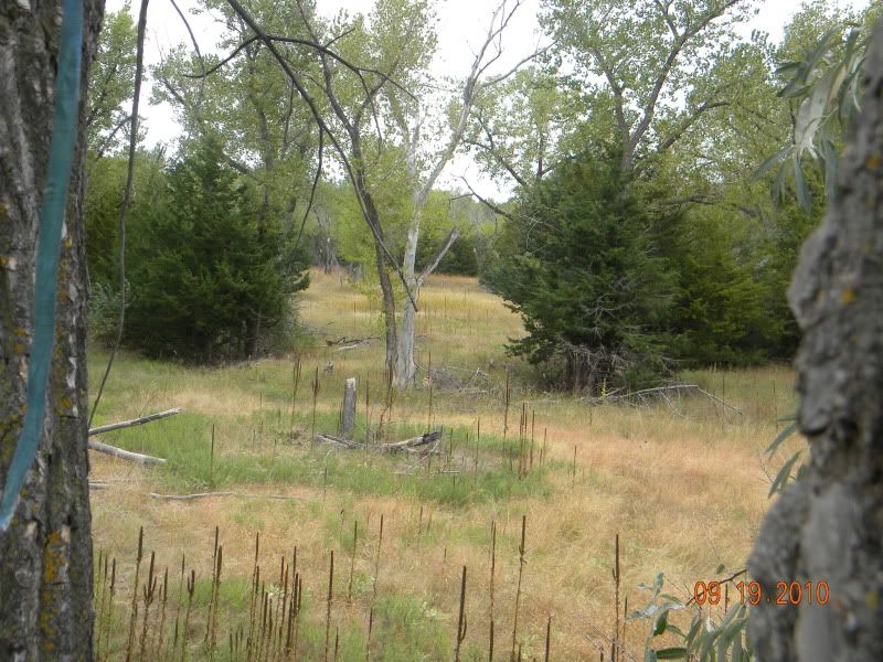 DSCN2842.jpg