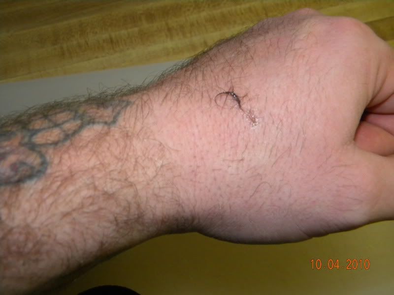DSCN2906.jpg