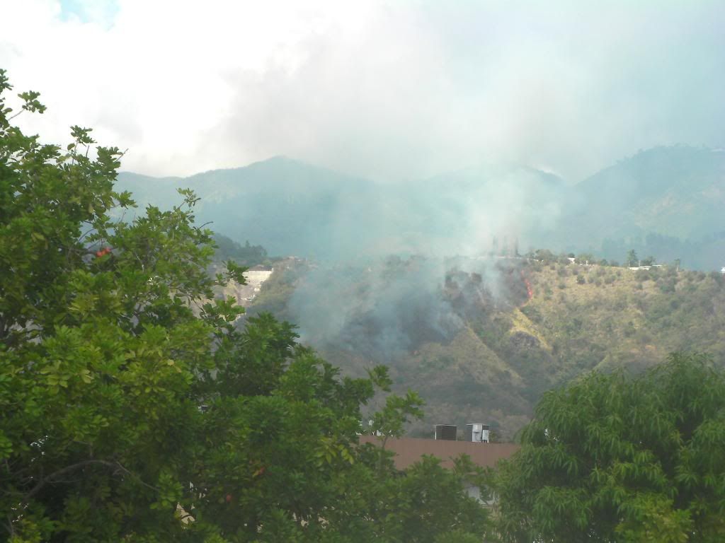 SANY0099.jpg
