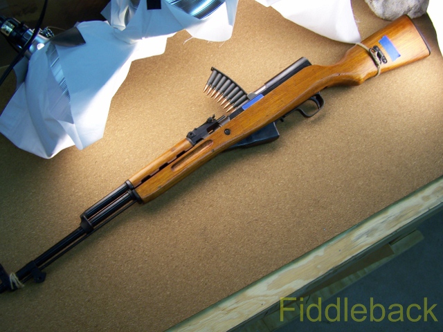 sks100_2814-vi.jpg