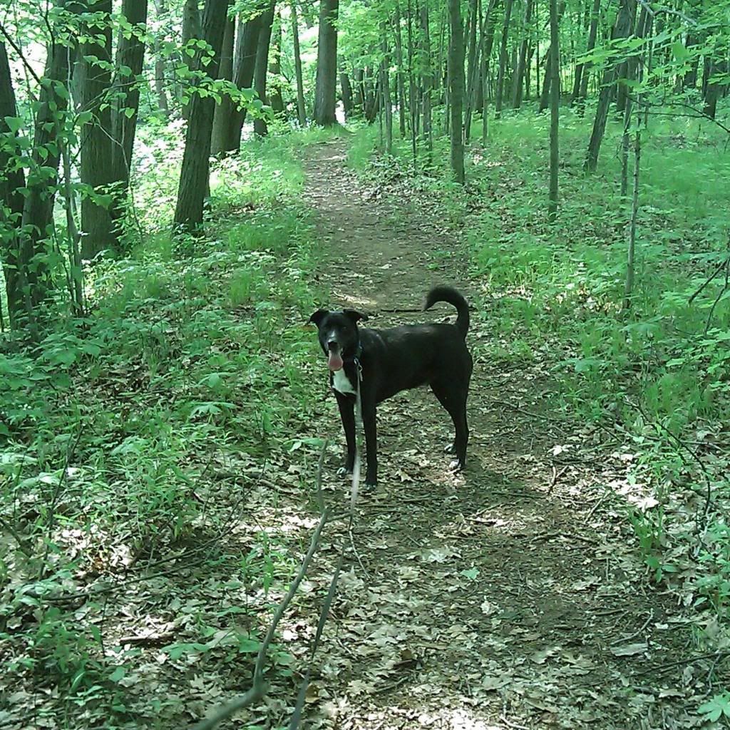 IMAG0057.jpg