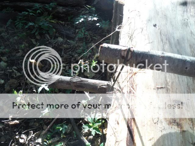 axesharpening3_zpsb85654cc.jpg