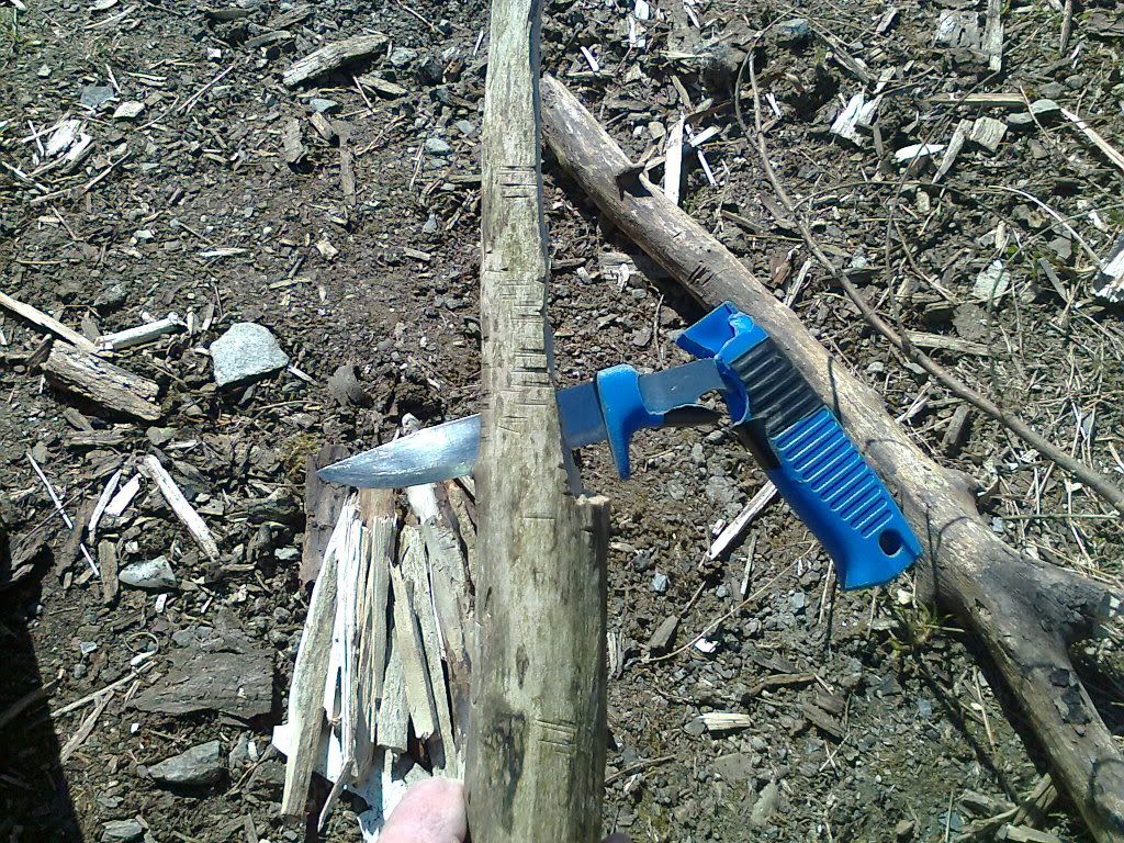 Photo0014.jpg
