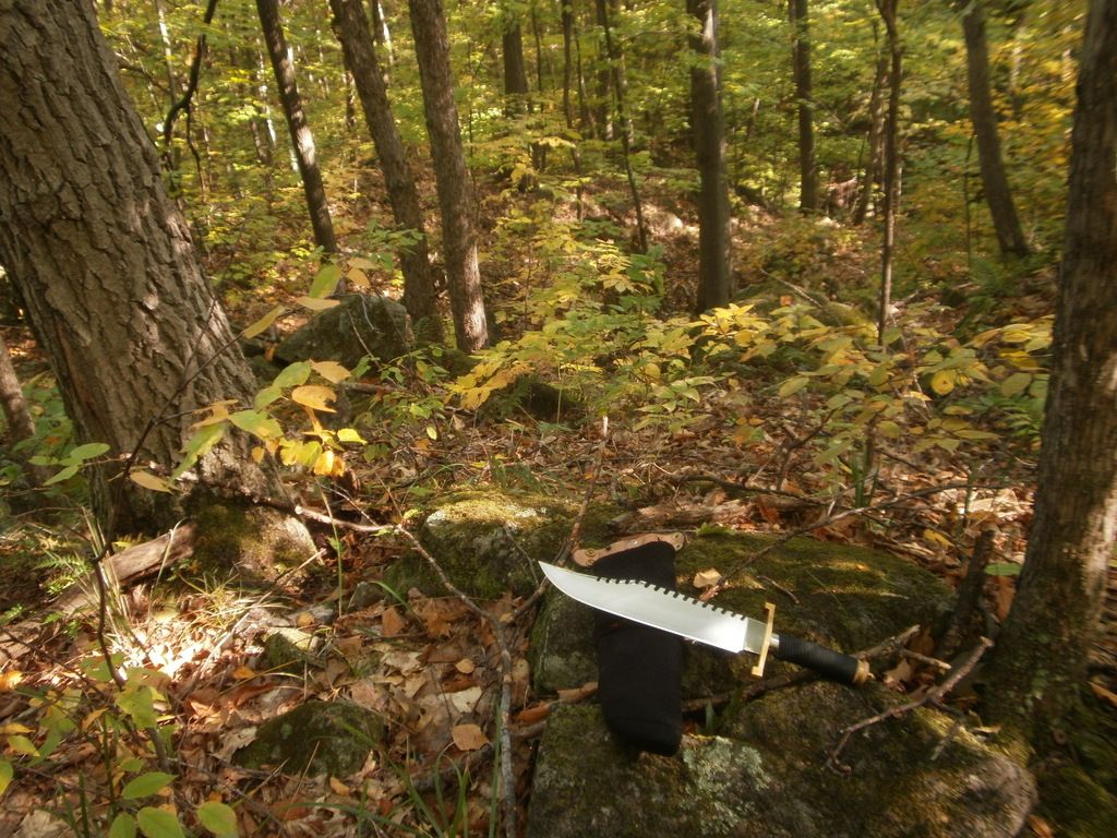 PA070036_zps7ygxtzlw.jpg