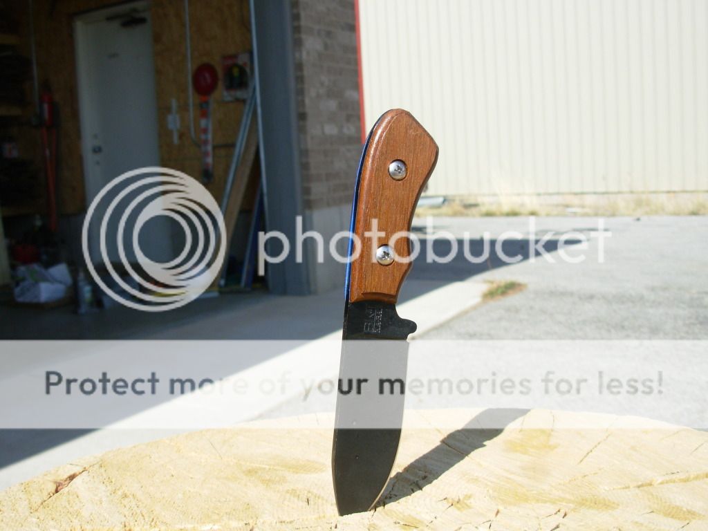 DSCN0590.jpg