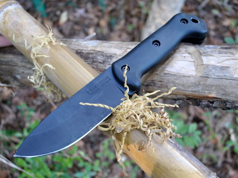 25bamboo7.jpg