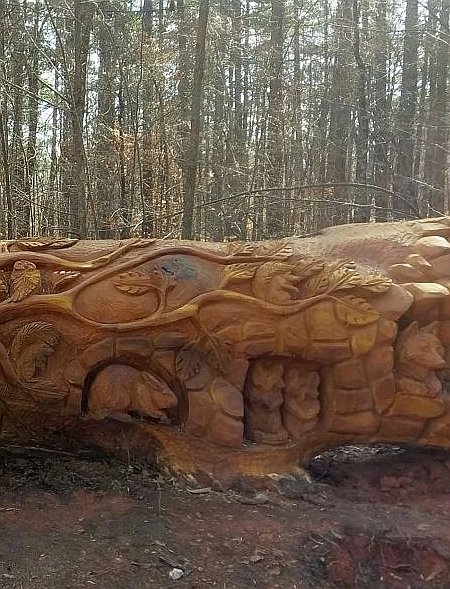 Umstead_2018_0127a.jpg