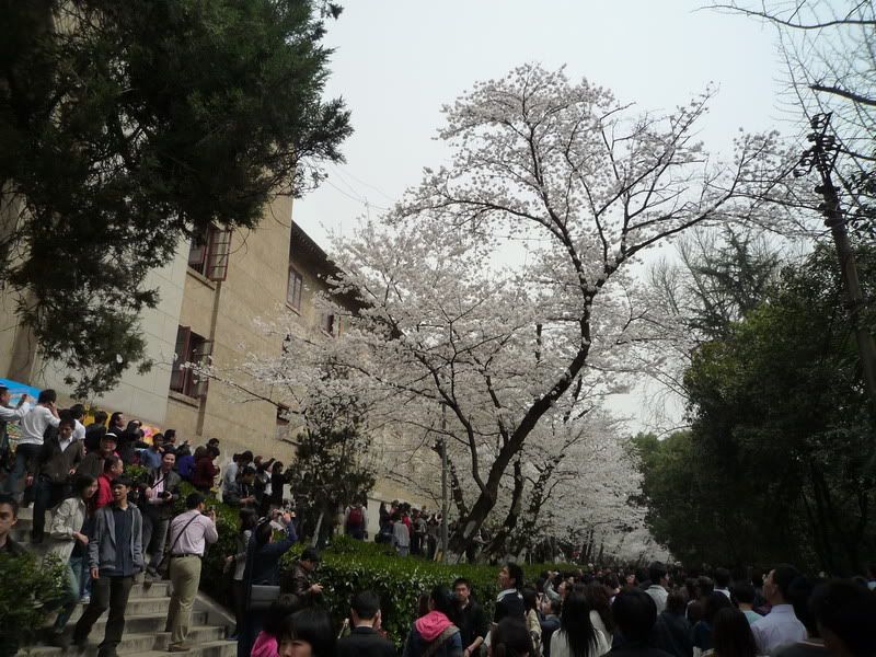 P1050193.jpg