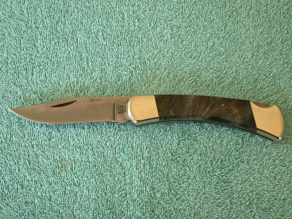 BuckeyeBuck1.jpg