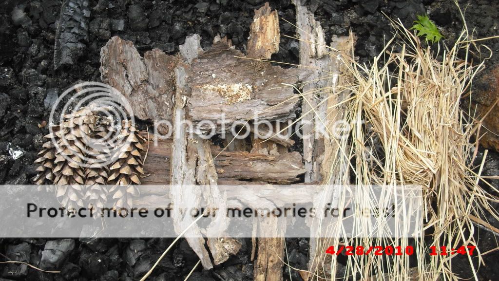 PICT0005-39.jpg