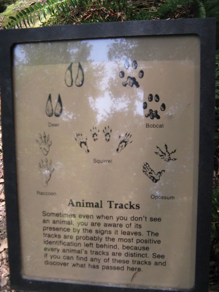 Picture014.jpg