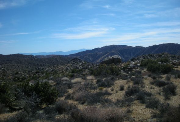 joshuatree3_zps45e02046.jpg