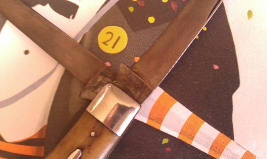 IMAG0121-1.jpg