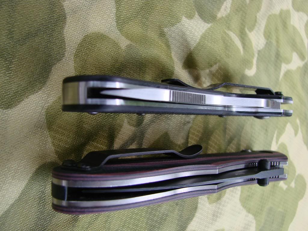 BM730andSpydercoOcelot007.jpg