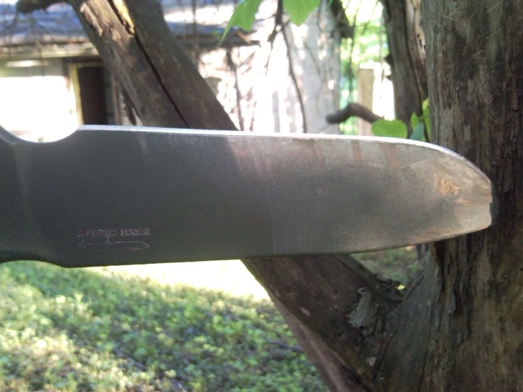 SNC00030.jpg