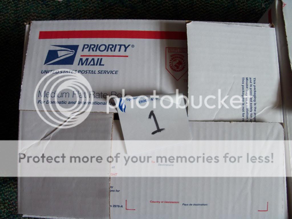 100_4970.jpg