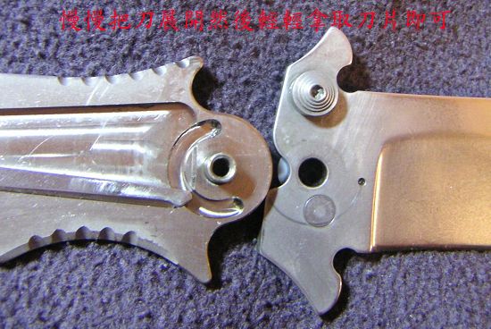445672511_08d9880e4d_o.jpg