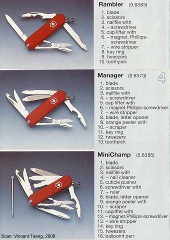 Vic95_Manager_mChamp.jpg