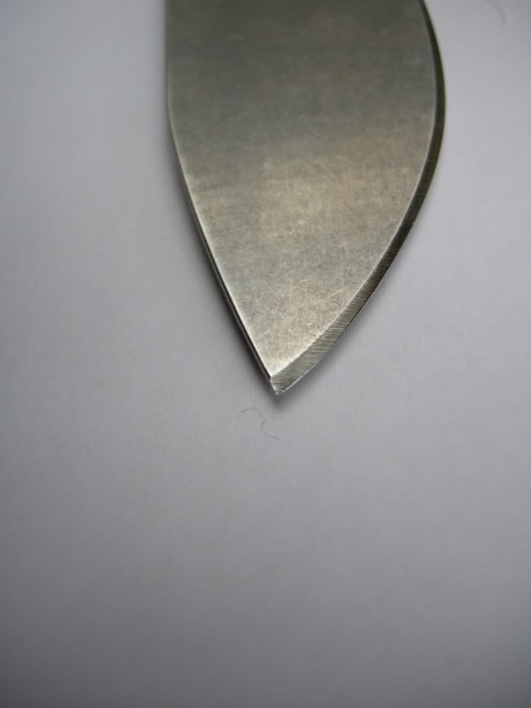 DSCN2603.jpg