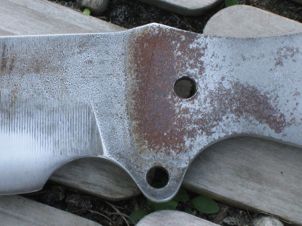 Picture605.jpg