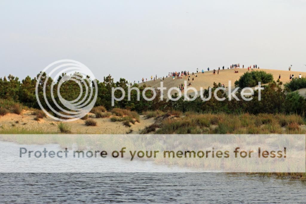 OBX%20sand%20dunes%201_zps5vaeoolv.jpg