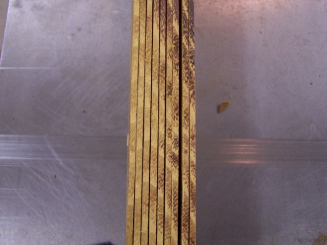 Drig102_0427-vi.jpg