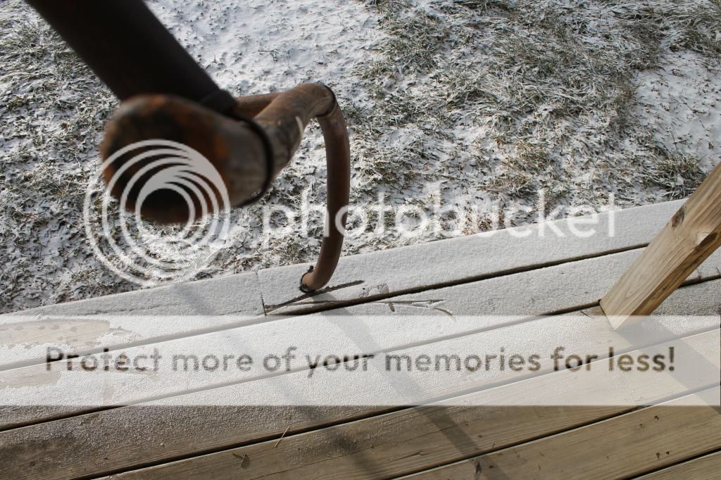 IMG_2983_zps9a64625f.jpg
