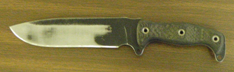 FSH2.jpg
