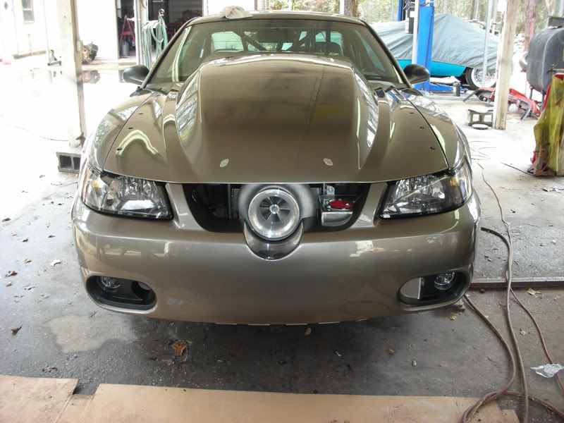 DSCN1040.jpg