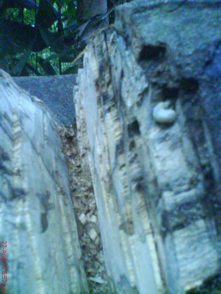 DSC01575.jpg