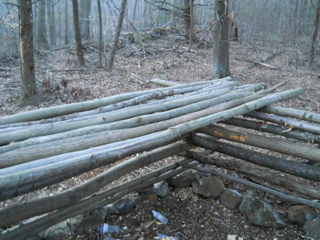 DSCN0257.jpg