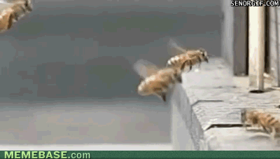 Q2PxYAi.gif