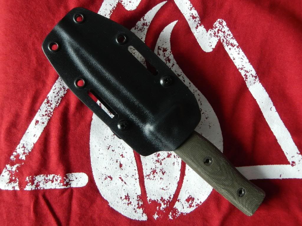 survive4.jpg